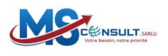 MS CONSULT SARLU